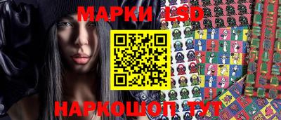 стафф Донской