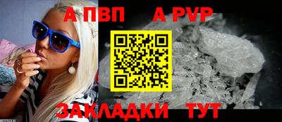 стафф Донской