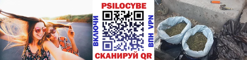 kraken ONION  Кубинка  Псилоцибиновые грибы ЛСД 