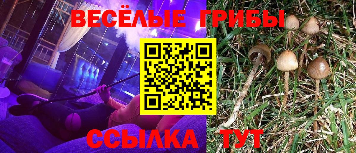Кубинка  Псилоцибиновые грибы MAGIC MUSHROOMS  Вход с VPN 