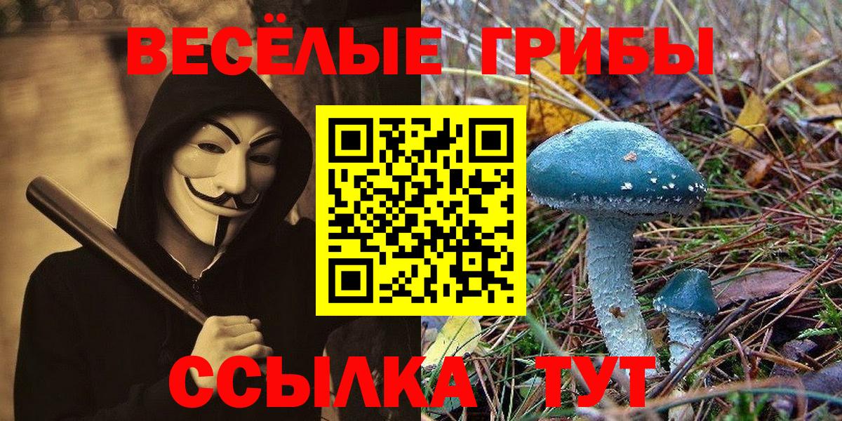 Галлюциногенные грибы Psilocybe Кубинка